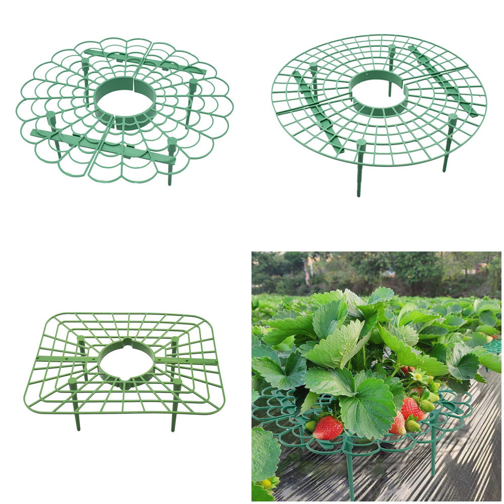 Vine Climbing Plastic - Erdbeere Ständer Rahmen Halter Balkon Pflanzen