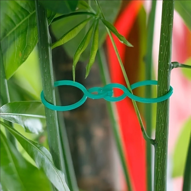 125-teiliges Gartenpflanzen-St – Vine Climbing Plastic Bewertung und Preis