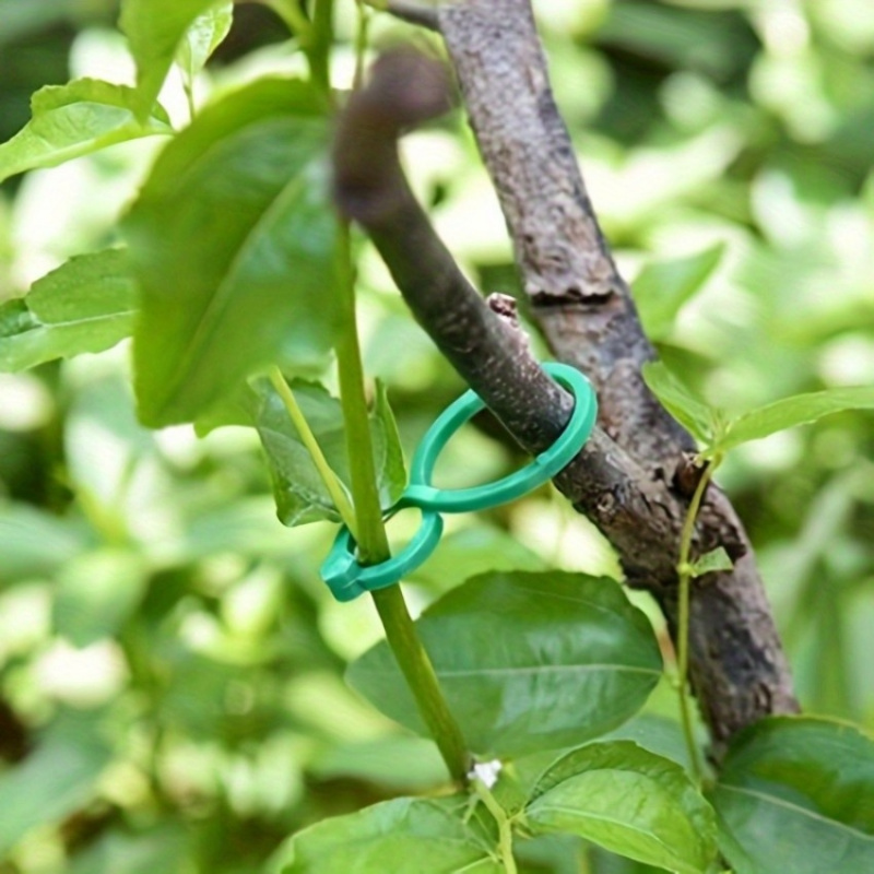 125-teiliges Gartenpflanzen-St – Vine Climbing Plastic Bewertung und Preis