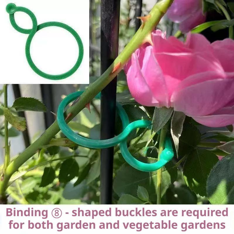 100 Stück Pflanzenstützklammer – Vine Climbing Plastic Bewertung und Preis