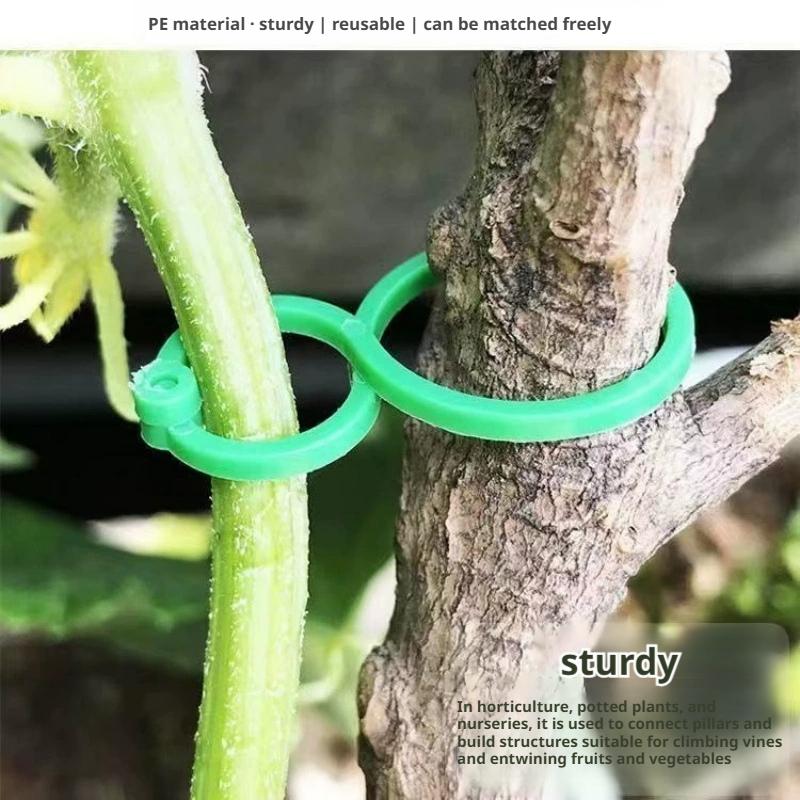100 Stück Pflanzenstützklammer – Vine Climbing Plastic Bewertung und Preis