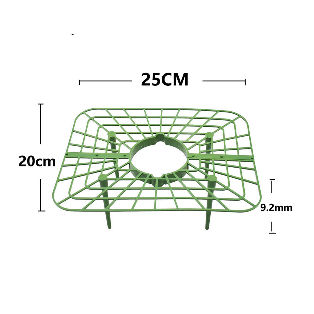 Erdbeere Ständer Rahmen Halter – Vine Climbing Plastic Bewertung und Preis