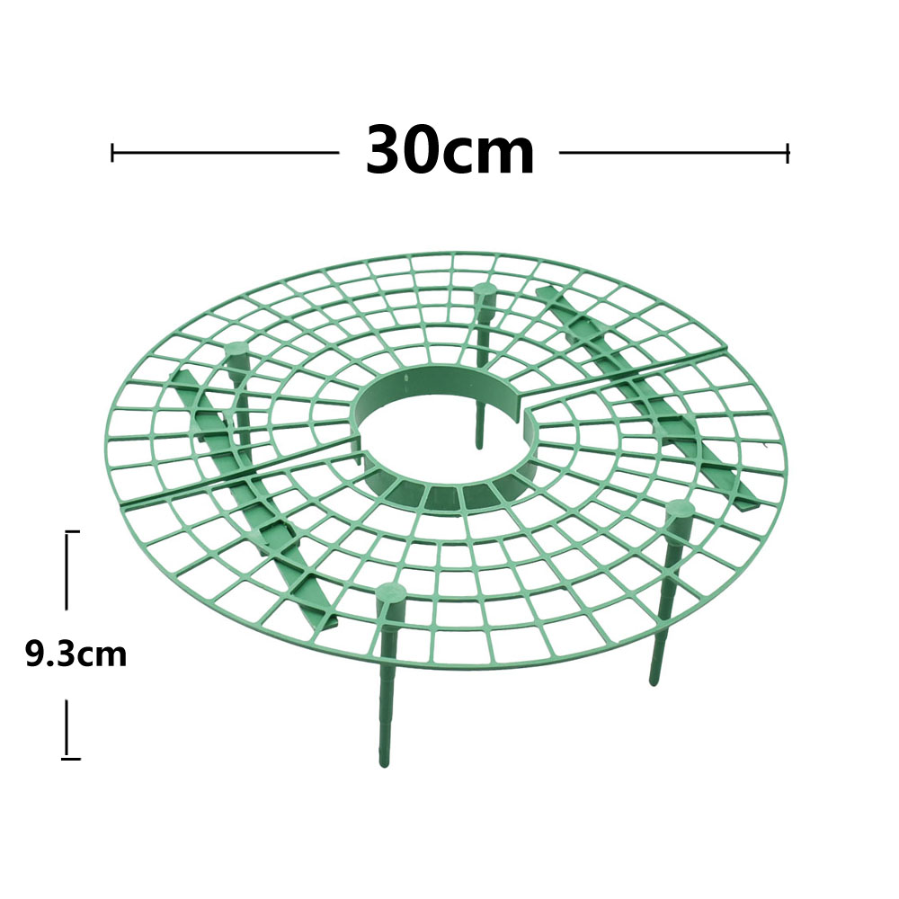 Erdbeere Ständer Rahmen Halter – Vine Climbing Plastic Bewertung und Preis