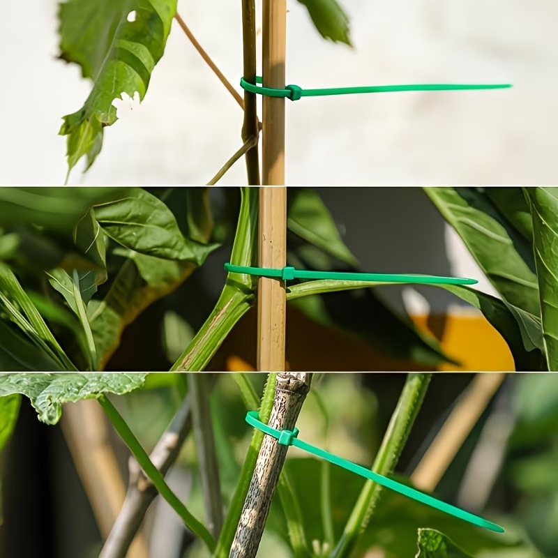 50-300 Stück Verstellbare Kuns – Vine Climbing Plastic Bewertung und Preis