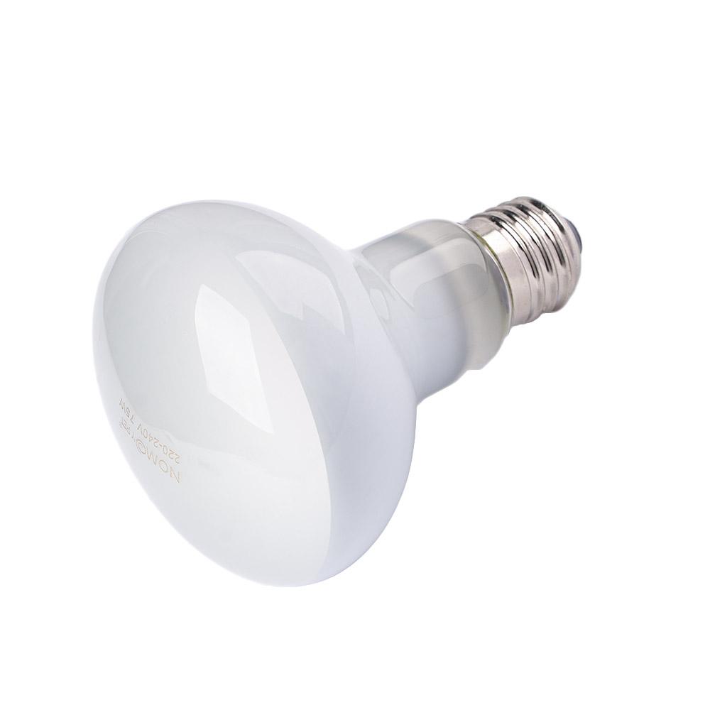 Amphibien-Temperaturregler, He – Basking Bulb Halogen Bewertung und Preis