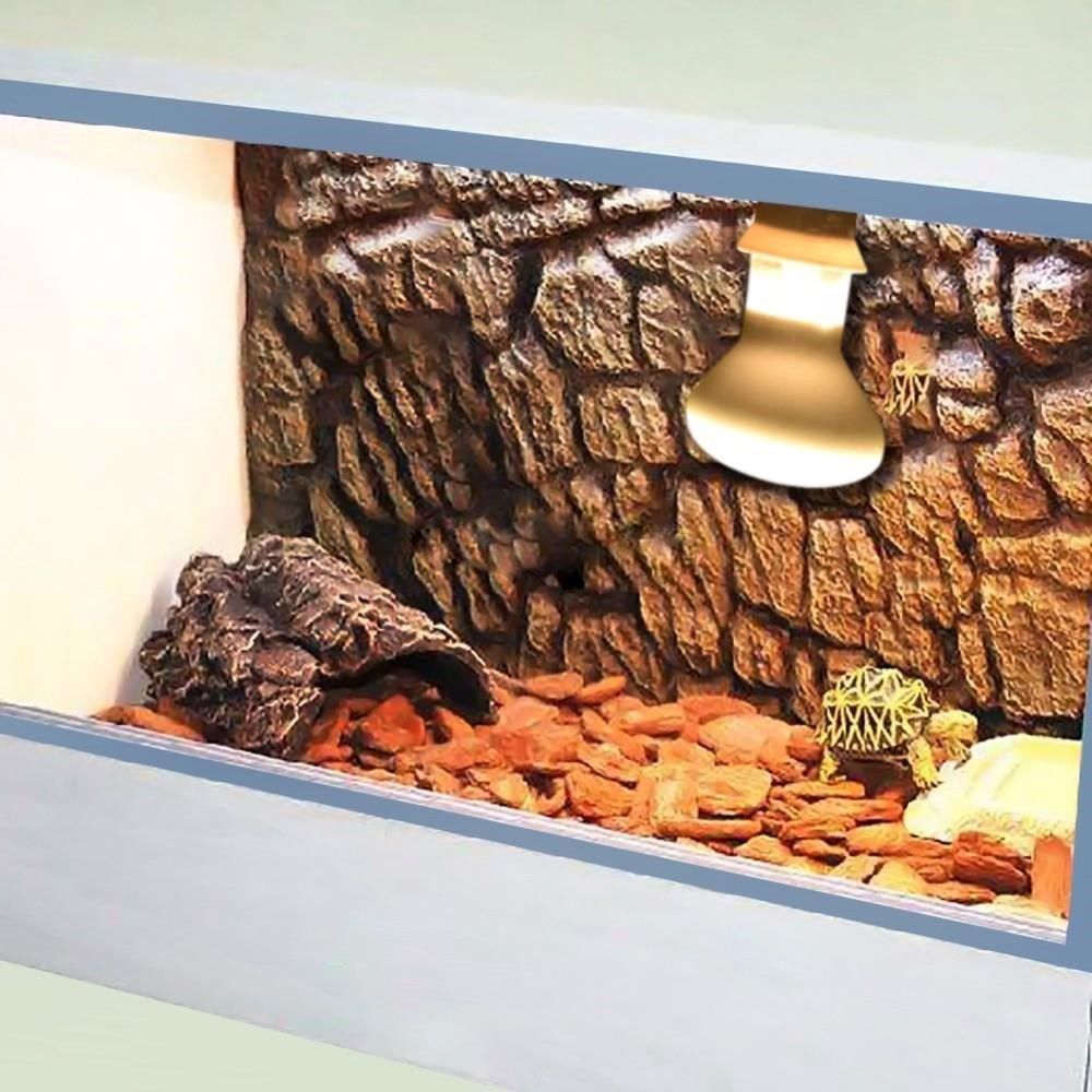 Schildkröten-Heizlampe Reptili – Basking Bulb Halogen Bewertung und Preis