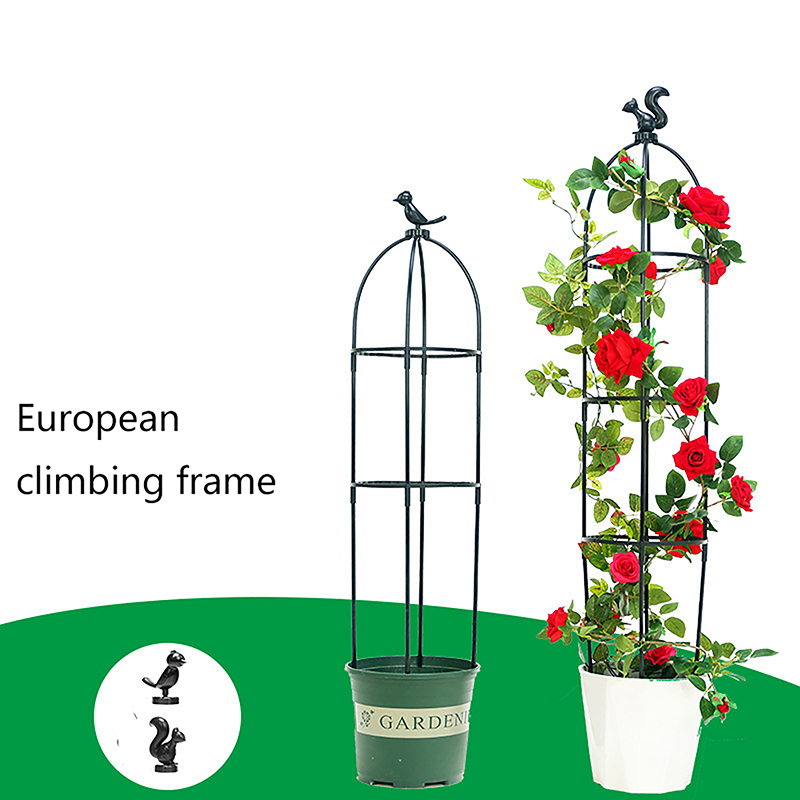 1 Set Rankhilfe für Kletterpfl – Vine Climbing Plastic Bewertung und Preis