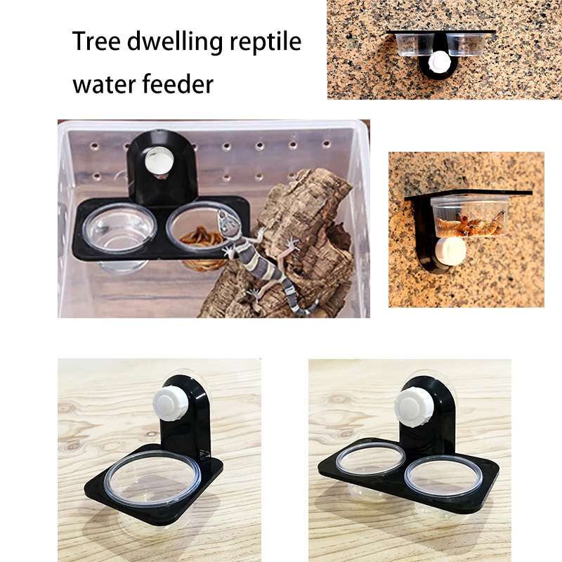 Reptilien Tank Zubehör Insekt  – Water Dish Reptile Bewertung und Preis