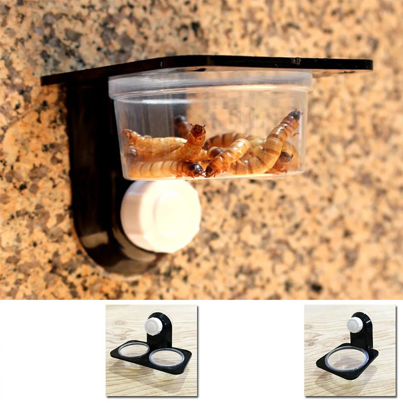 Reptilien Tank Zubehör Insekt  – Water Dish Reptile Bewertung und Preis